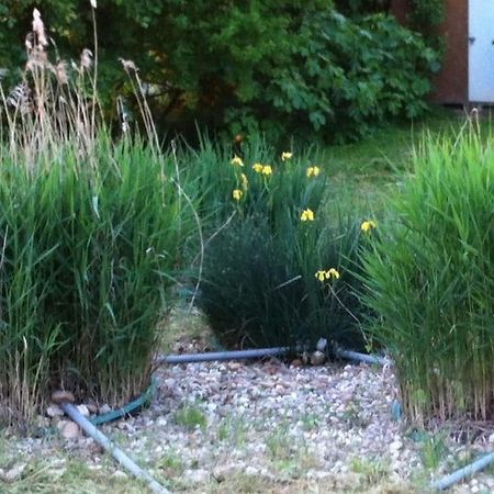 Appartement Neuf & Ecologique A La Campagne Marzens 外观 照片