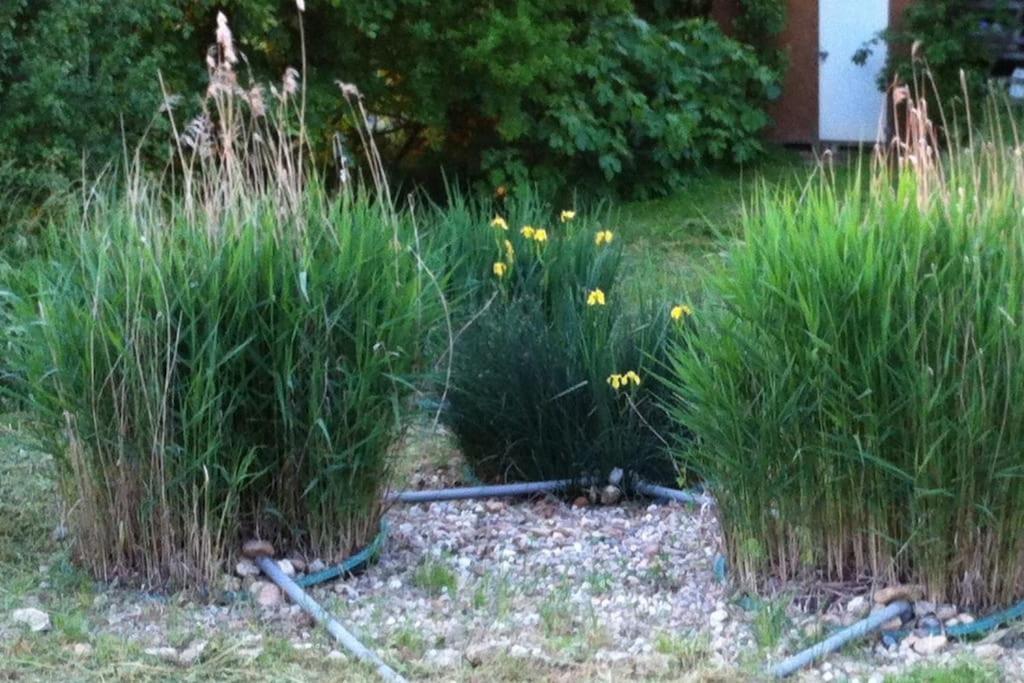Appartement Neuf & Ecologique A La Campagne Marzens 外观 照片